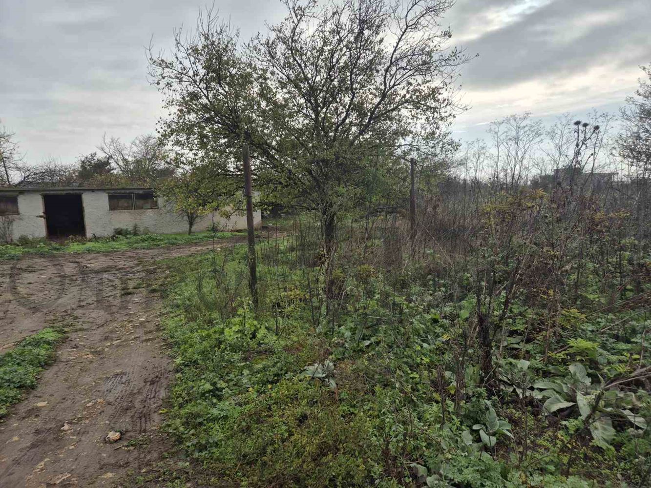 Парцел в регулация село Божурец - Агенция за недвижими имоти Варна - Екипът, имот 4