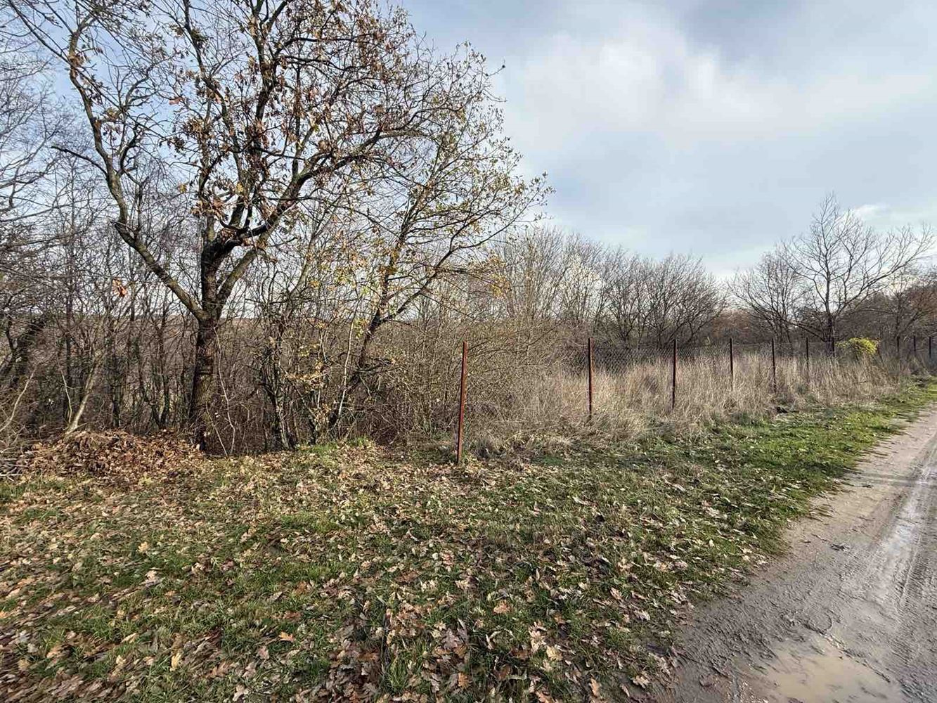 Парцел в местност Добрева чешма - Агенция за недвижими имоти Варна - Екипът