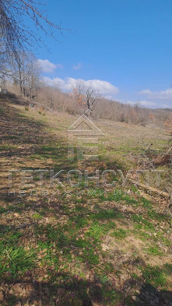 с.Осеново, парцел 800 кв м - Агенция за недвижими имоти Варна - Екипът, имот 1