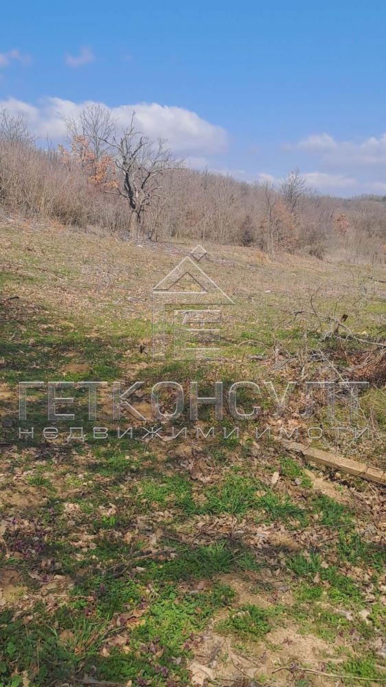 с.Осеново, парцел 800 кв м - Агенция за недвижими имоти Варна - Екипът